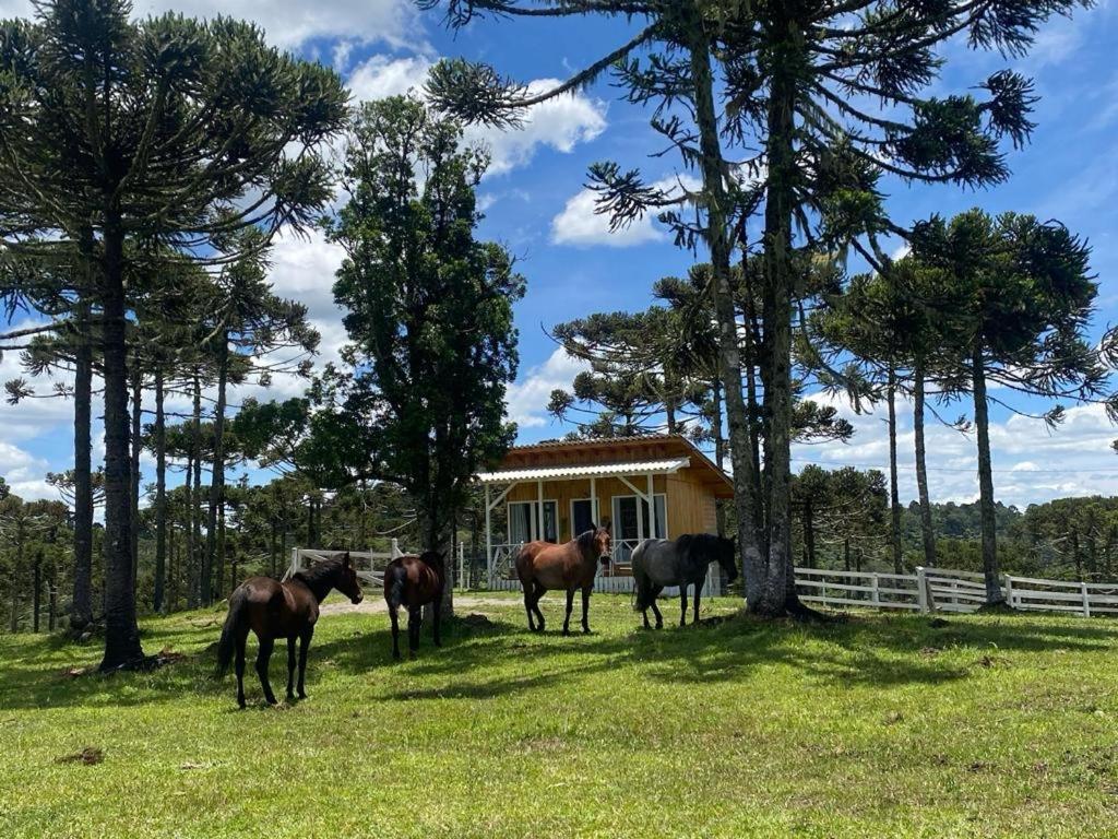 Casa E Cabana De Campo Fazenda Borba Урубісі Екстер'єр фото