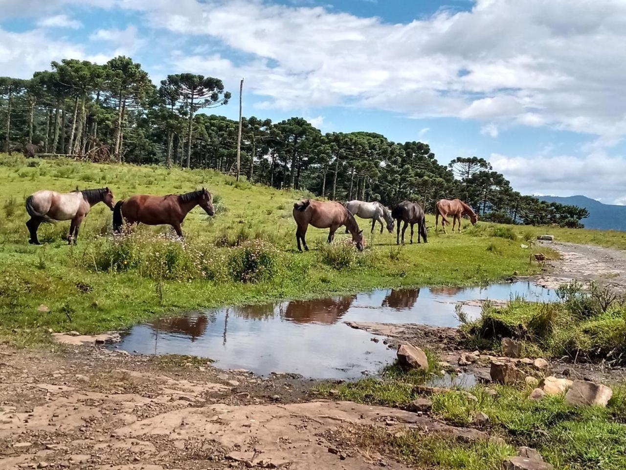 Casa E Cabana De Campo Fazenda Borba Урубісі Екстер'єр фото